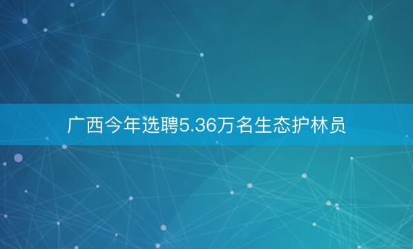 广西今年选聘5.36万名生态护林员